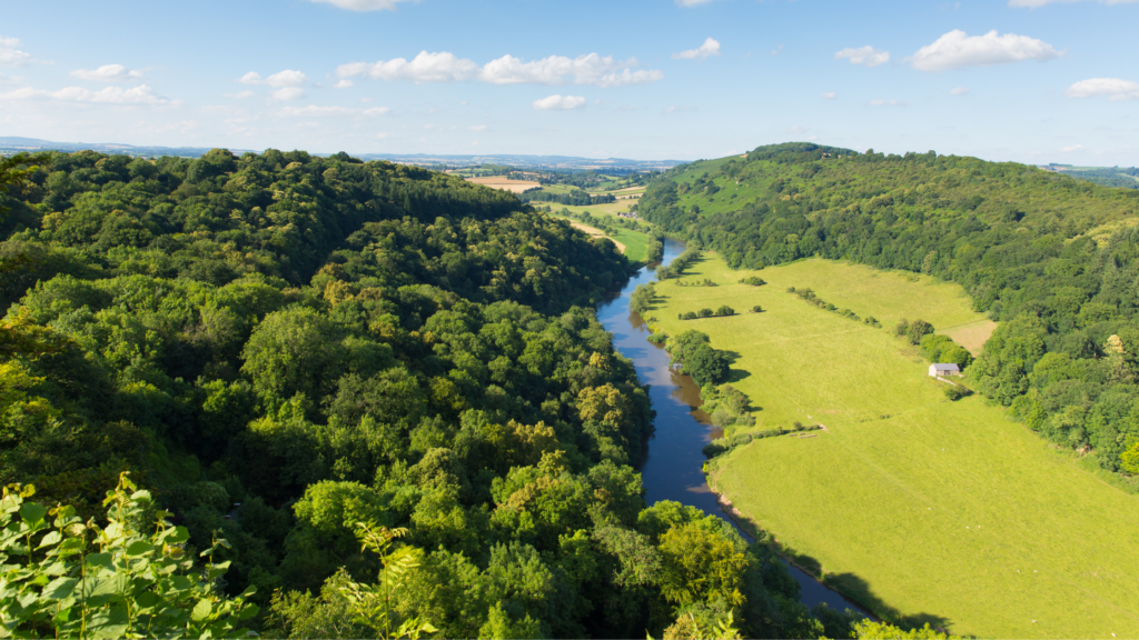 Aerial view of river running through a green field with bushy green trees 
harddwch