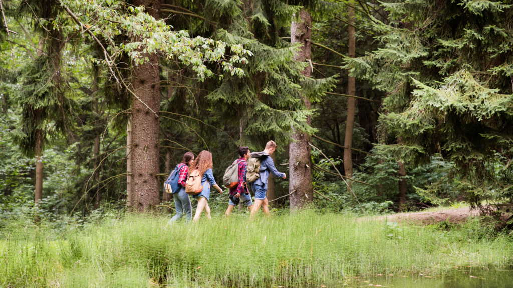 Group of friends walking through grassy field toward woods